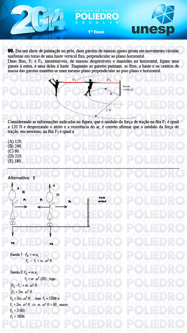 Questão 80 - 1ª Fase - UNESP 2014