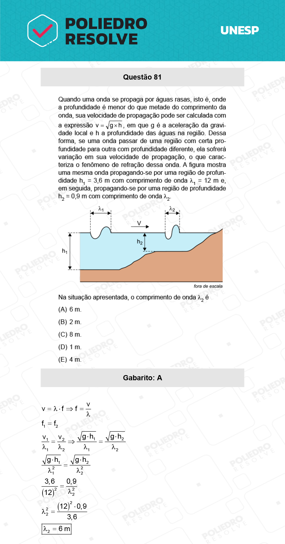 Questão 81 - 1ª Fase - Biológicas - UNESP 2022