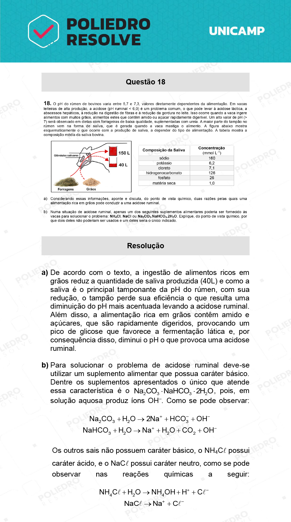 Dissertação 18 - 2ª Fase - 2º Dia - UNICAMP 2022