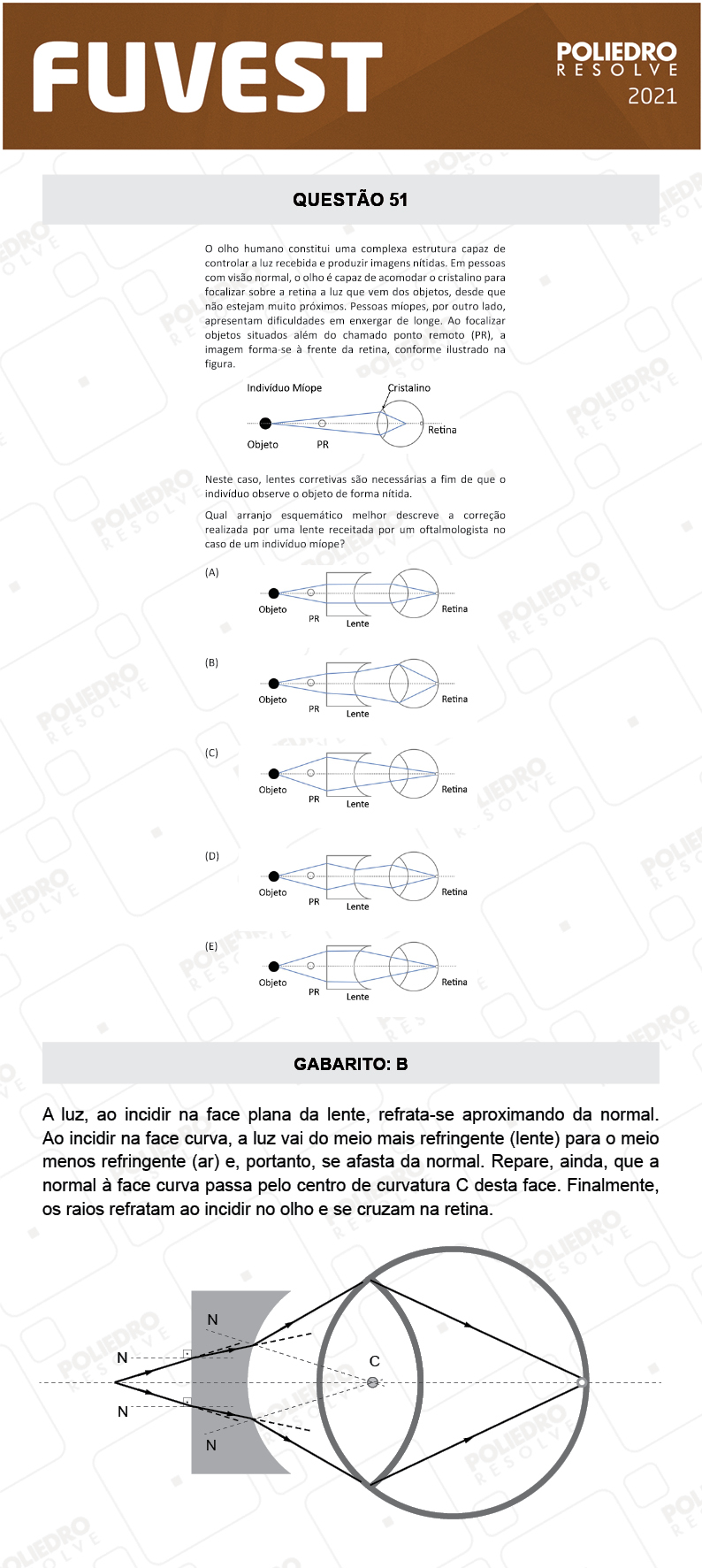 Questão 51 - 1ª Fase - FUVEST 2021