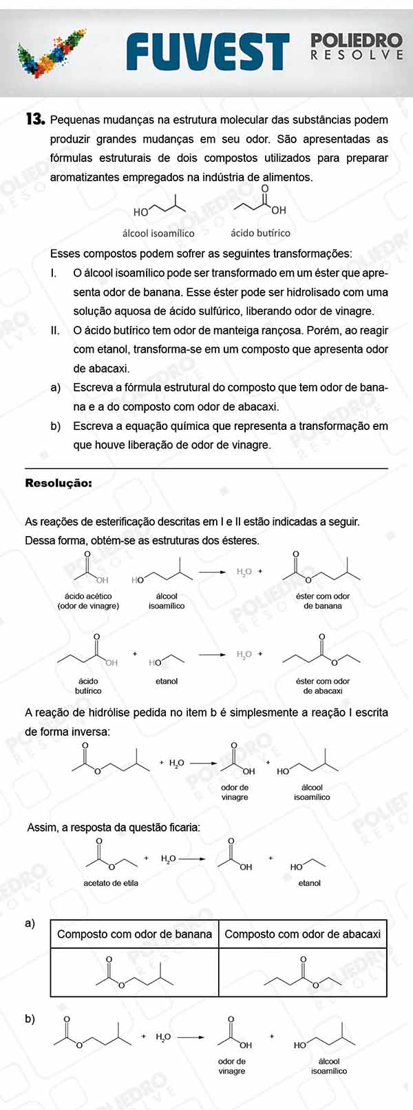 Dissertação 1 - 2ª Fase - 3º Dia - FUVEST 2018