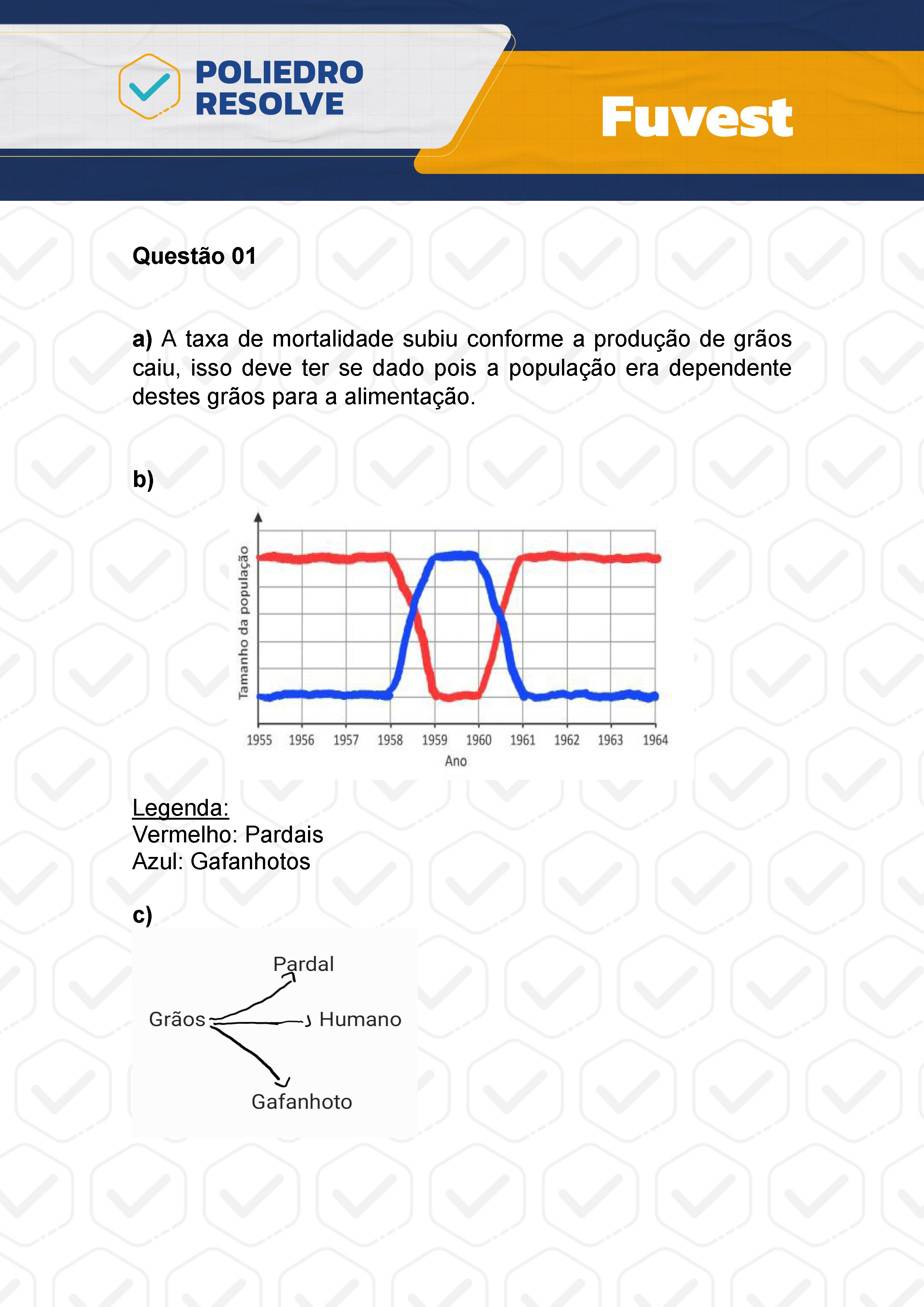 Dissertação 1 - 2ª Fase - 2º Dia - FUVEST 2024