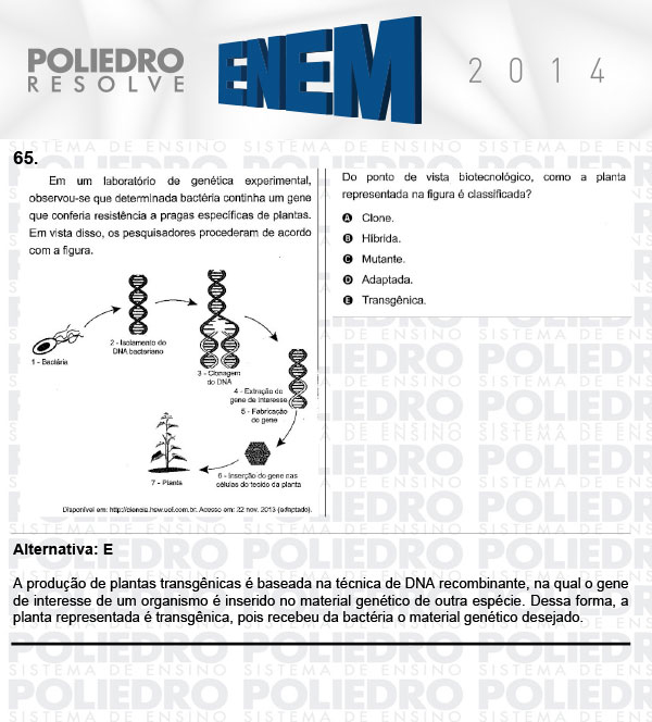 Questão 65 - Sábado (Prova Rosa) - ENEM 2014