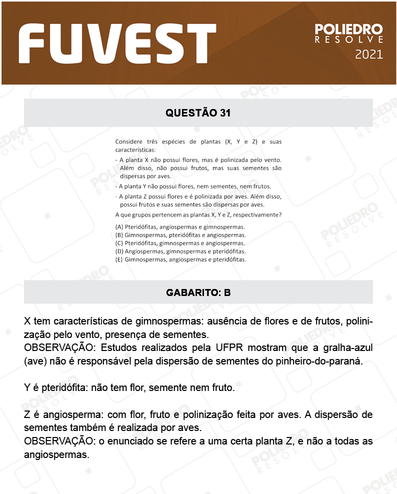 Questão 31 - 1ª Fase - FUVEST 2021