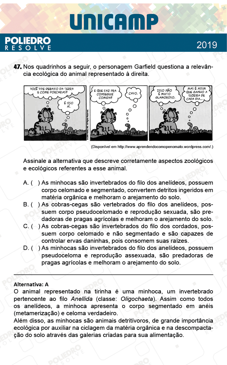 Questão 47 - 1ª Fase - PROVA Q e X - UNICAMP 2019