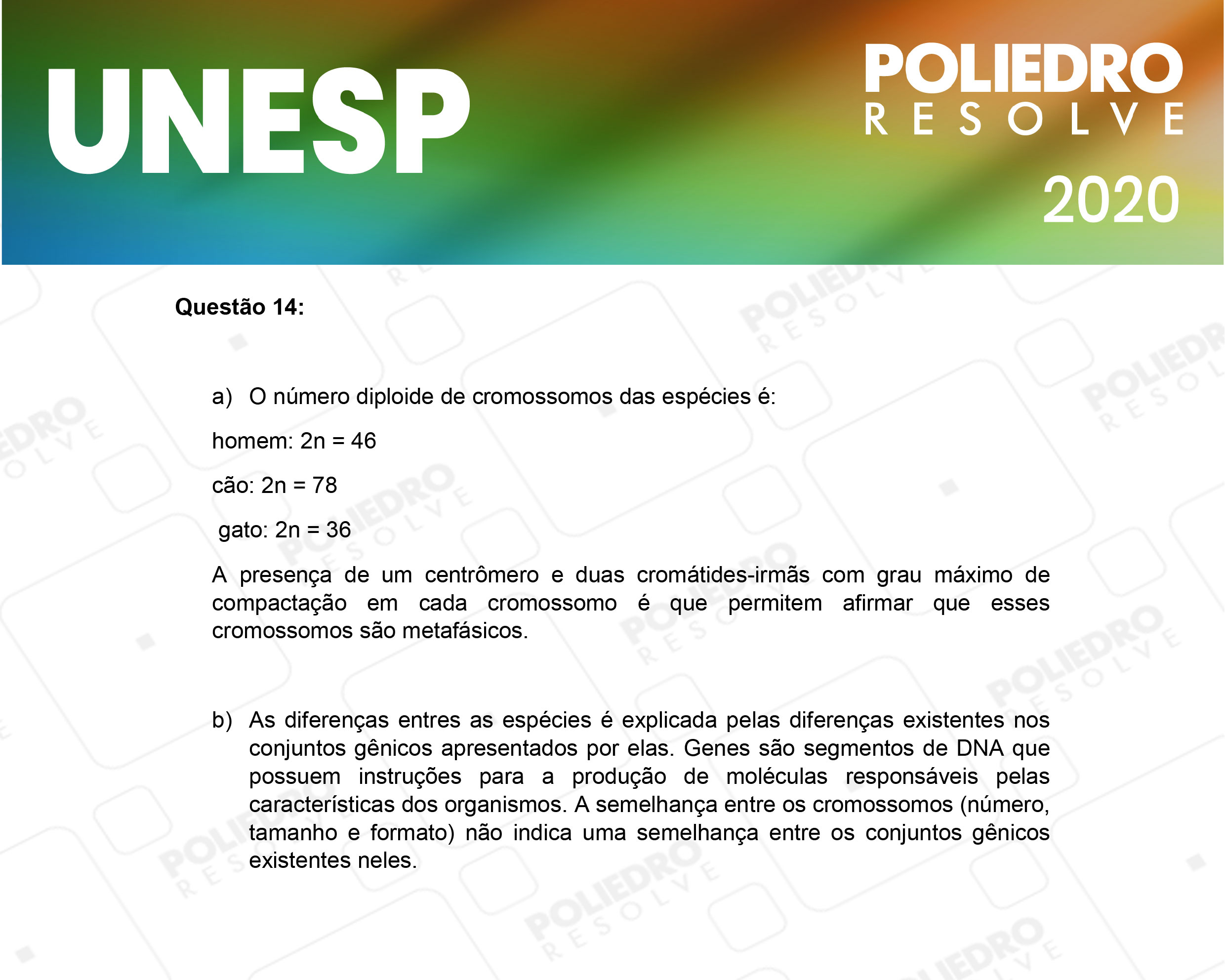 Dissertação 14 - 2ª Fase - 1º Dia - UNESP 2020