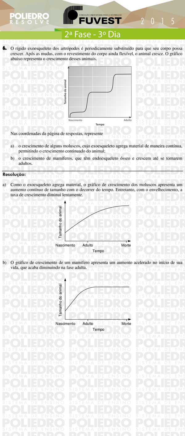 Dissertação 6 - 2ª Fase 3º Dia - FUVEST 2015