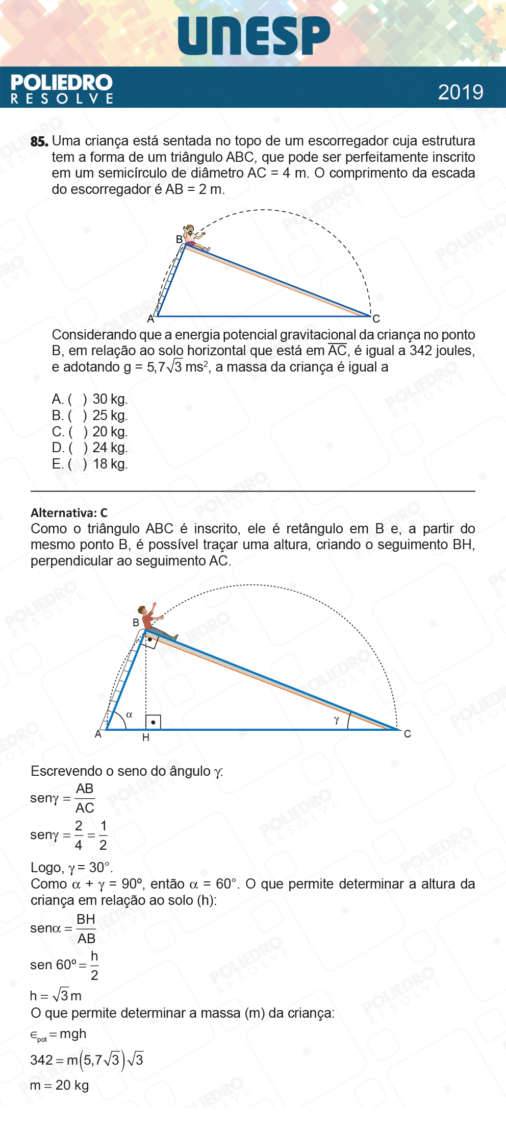 Questão 85 - 1ª Fase - UNESP 2019