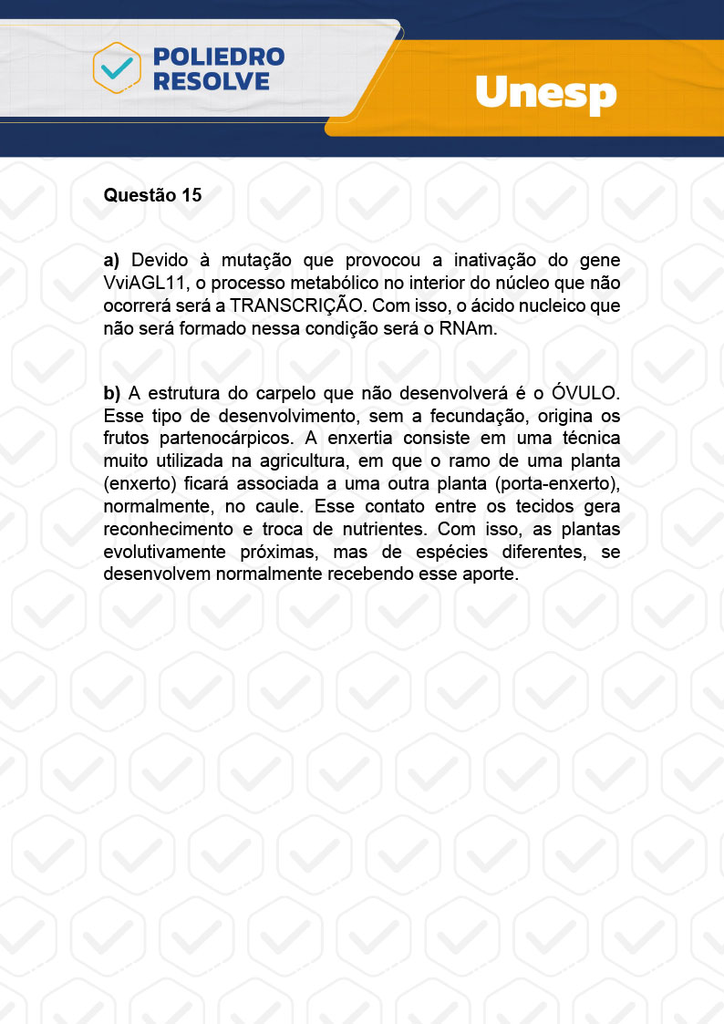 Dissertação 15 - 2ª Fase - 1º Dia - UNESP 2024