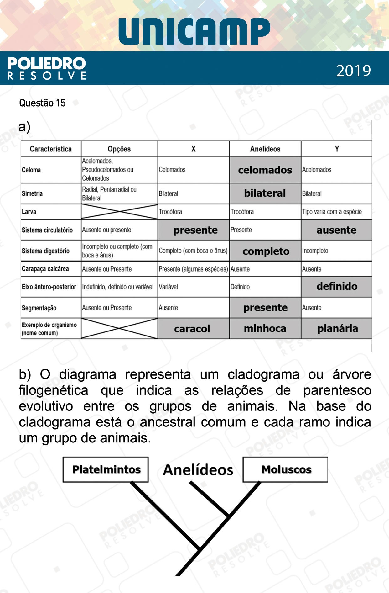 Dissertação 15 - 2ª Fase - 3º Dia - UNICAMP 2019