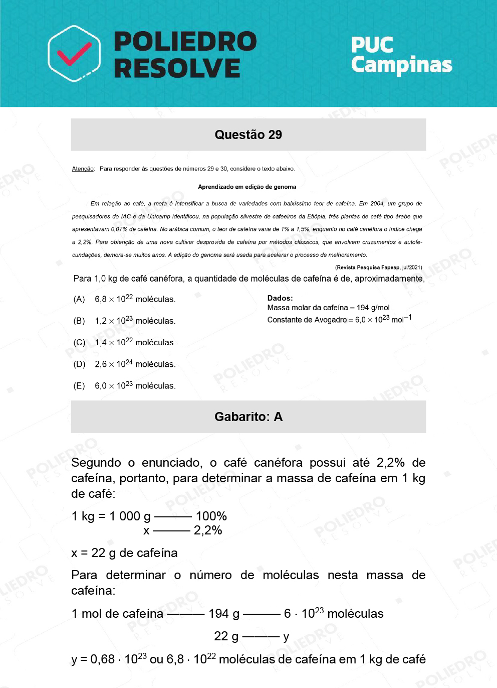 Questão 29 - Direito - PUC-Campinas 2022