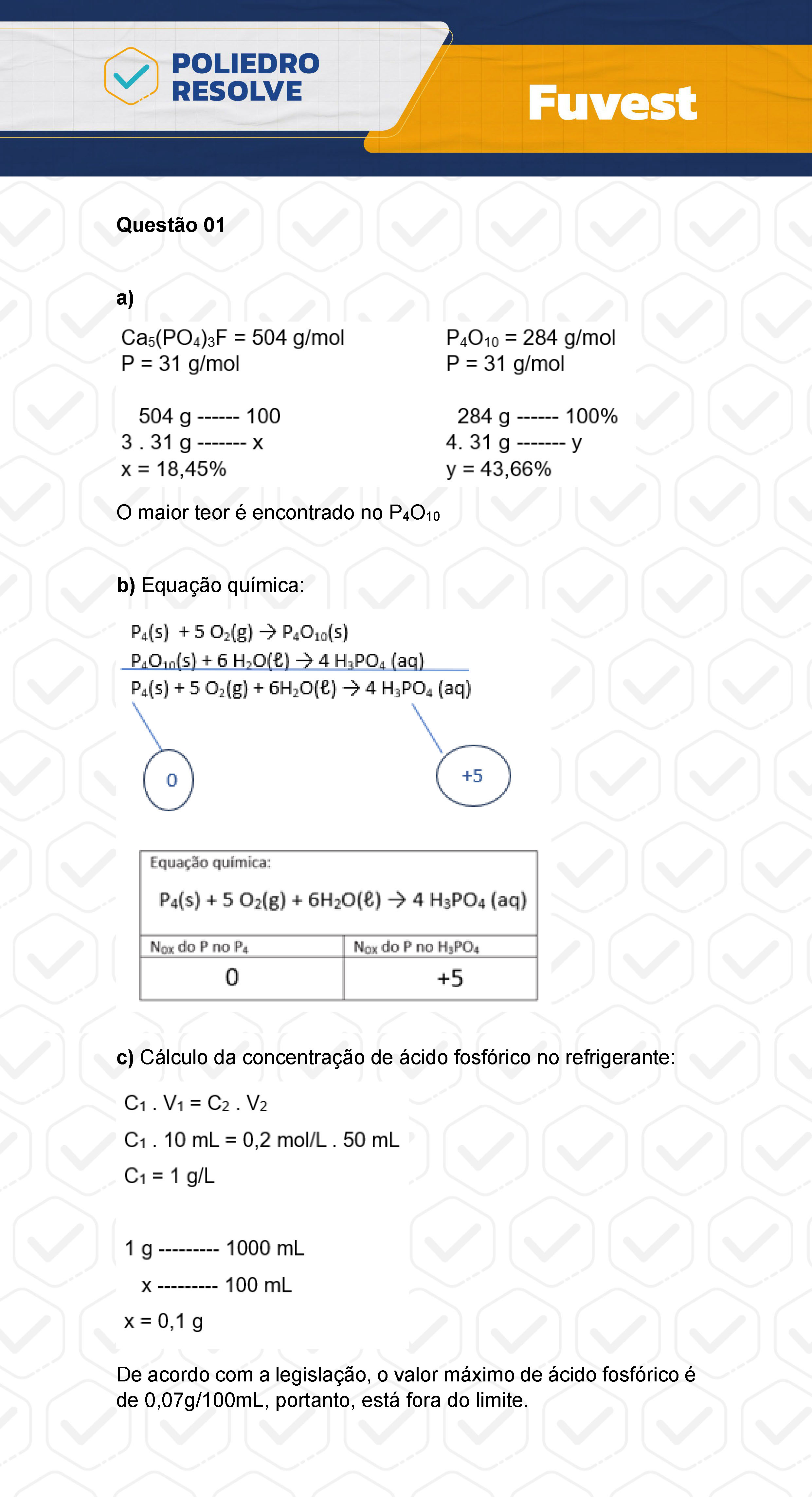 Dissertação 1 - 2ª Fase - 2º Dia - FUVEST 2024