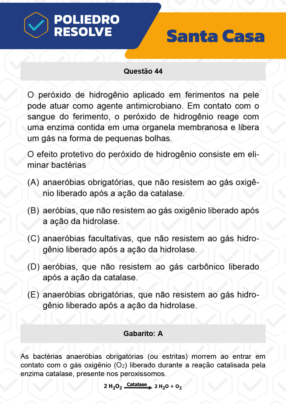 Questão 44 - 1º Dia - SANTA CASA 2023