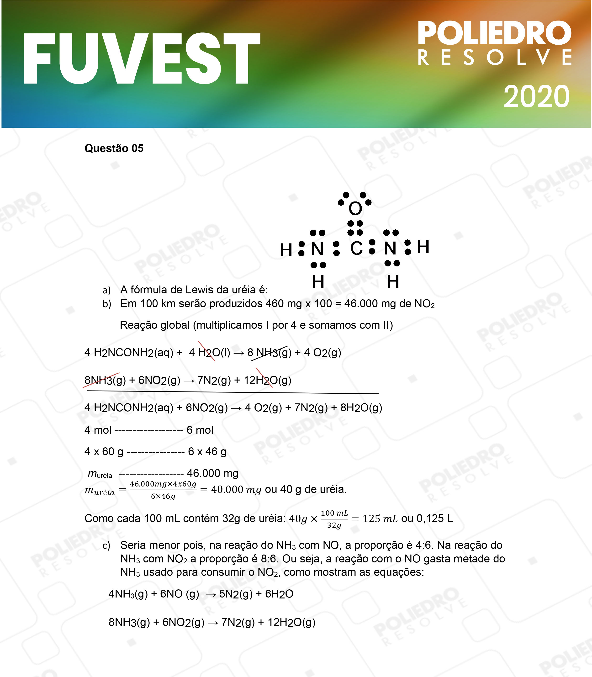 Dissertação 5 - 2ª Fase - 2º Dia - FUVEST 2020