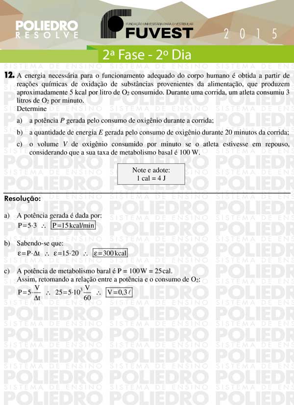 Dissertação 12 - 2ª Fase 2º Dia - FUVEST 2015