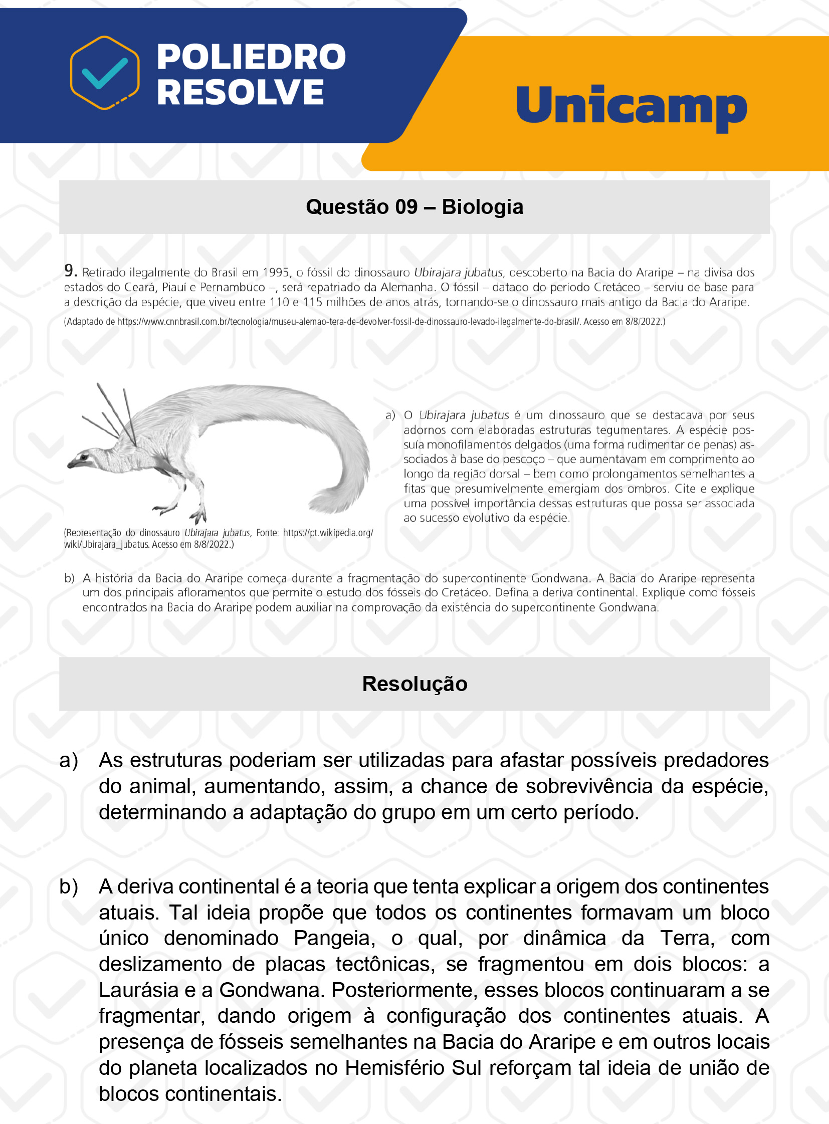 Dissertação 9 - 2ª Fase - 2º Dia - UNICAMP 2023