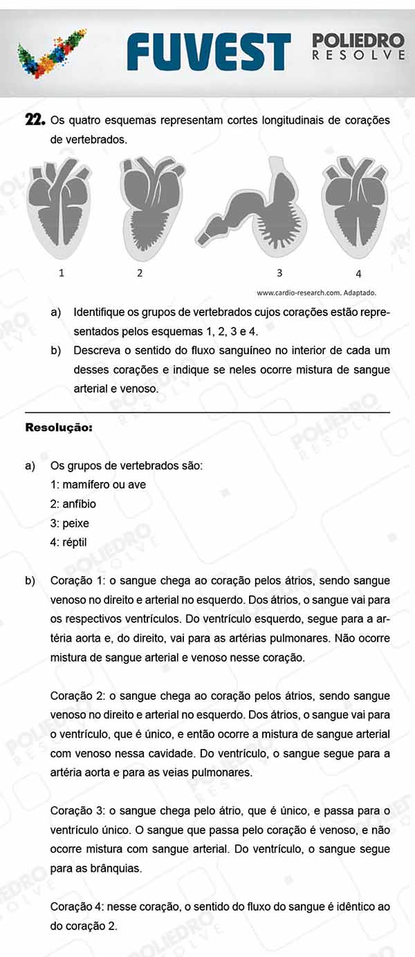 Dissertação 4 - 2ª Fase - 3º Dia - FUVEST 2018