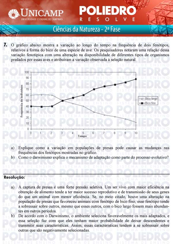 Dissertação 7 - 2ª Fase - UNICAMP 2011