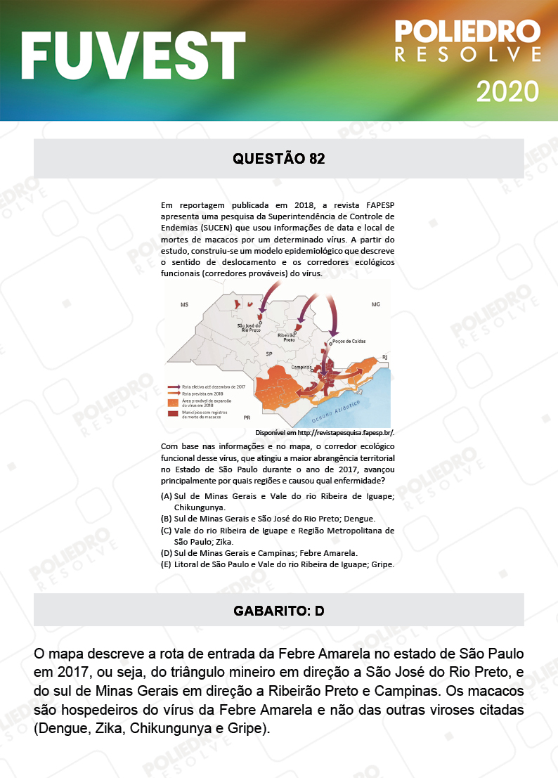 Questão 82 - 1ª Fase - Prova V - FUVEST 2020