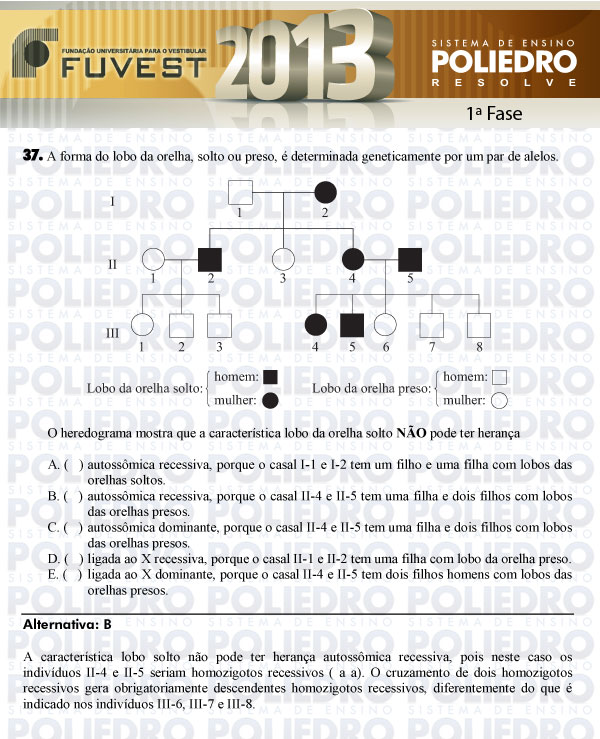 Questão 37 - 1ª Fase - FUVEST 2013
