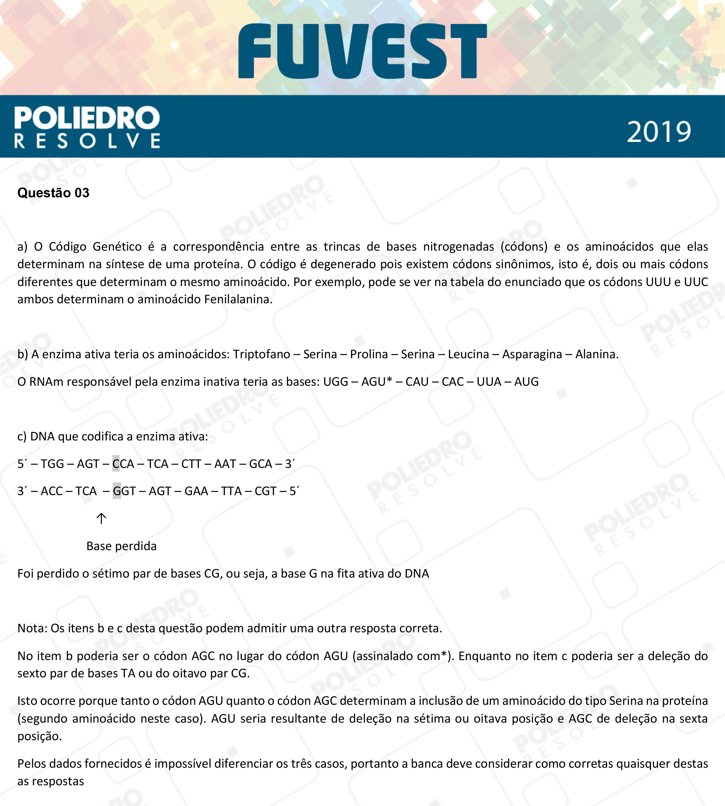 Dissertação 3 - 2ª Fase - 2º Dia - FUVEST 2019