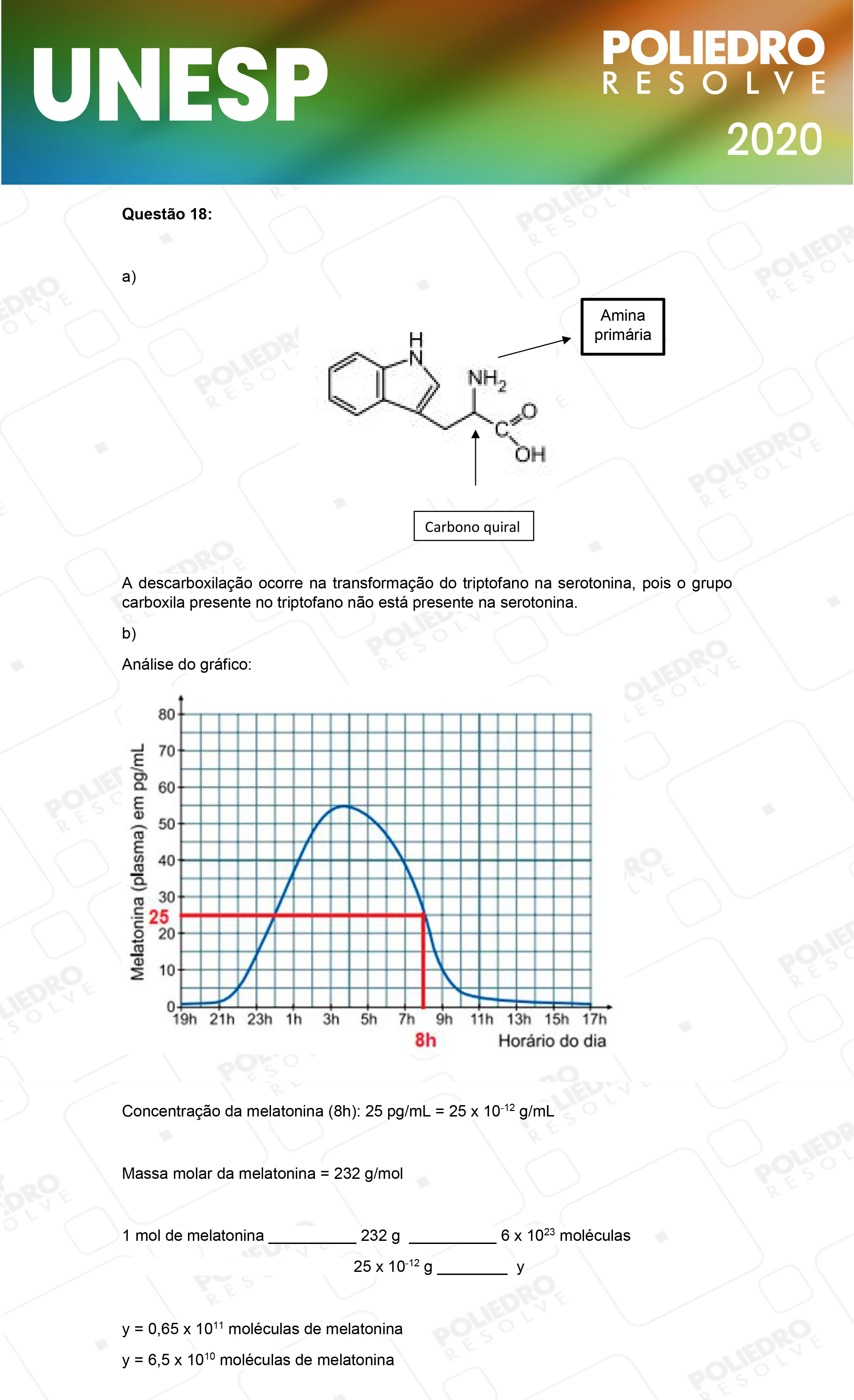 Dissertação 18 - 2ª Fase - 1º Dia - UNESP 2020