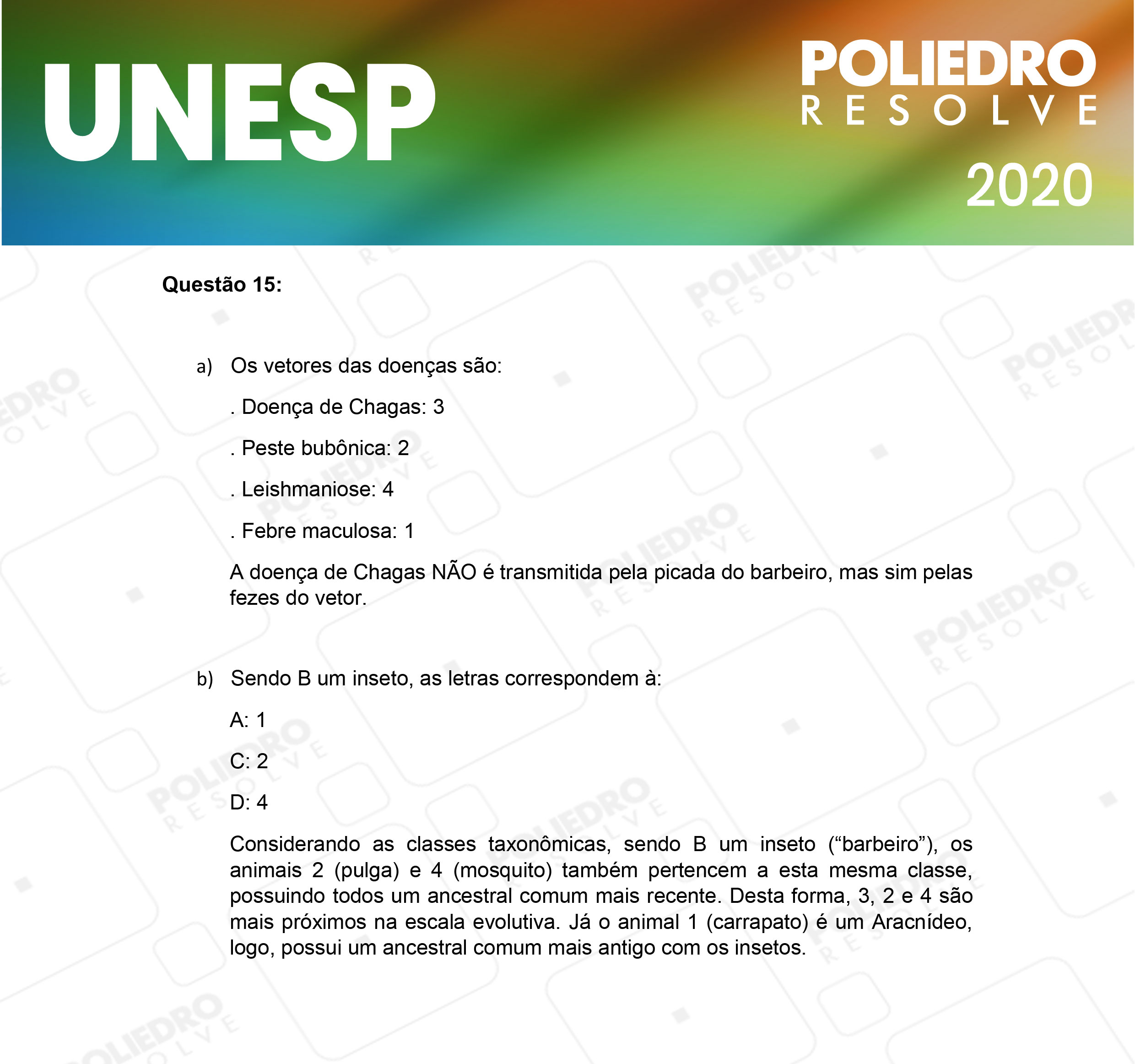 Dissertação 15 - 2ª Fase - 1º Dia - UNESP 2020