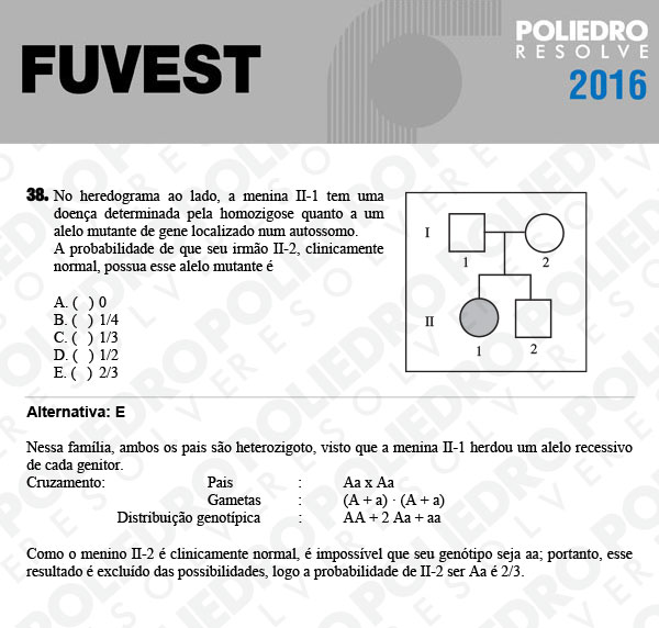 Questão 38 - 1ª Fase - FUVEST 2016