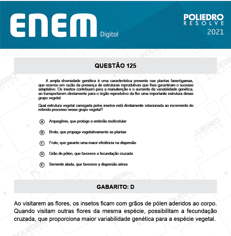 Questão 125 - 2º Dia - Prova Cinza - ENEM DIGITAL 2020