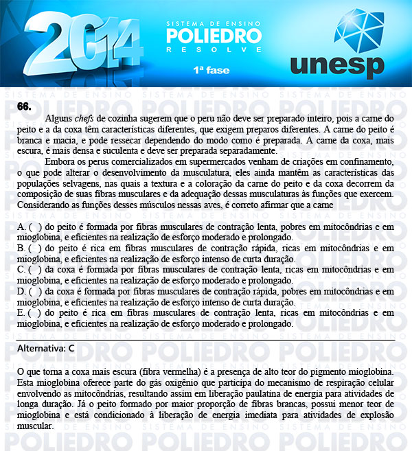 Questão 66 - 1ª Fase - UNESP 2014