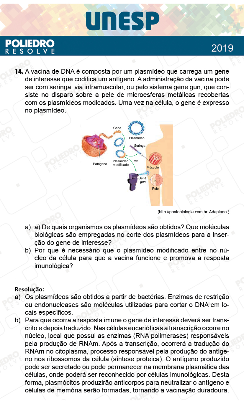 Dissertação 14 - 2ª Fase - 1º Dia - UNESP 2019