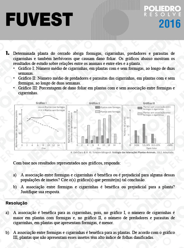 Dissertação 1 - 2ª Fase - 3º Dia - FUVEST 2016