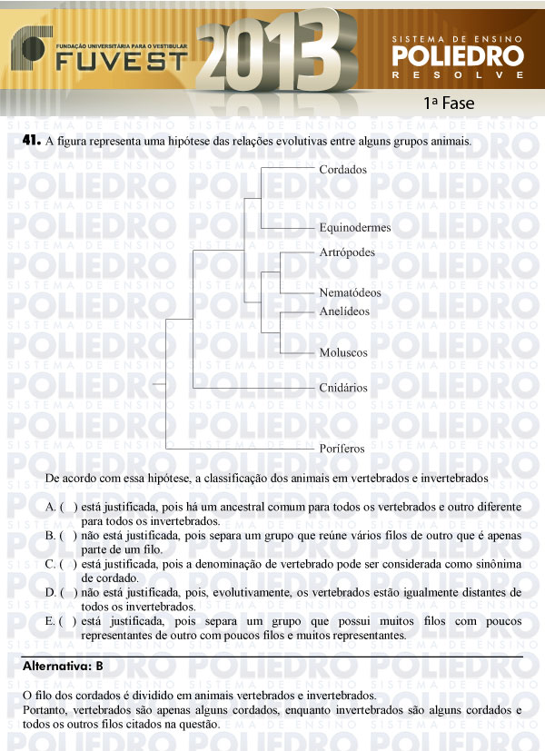 Questão 41 - 1ª Fase - FUVEST 2013