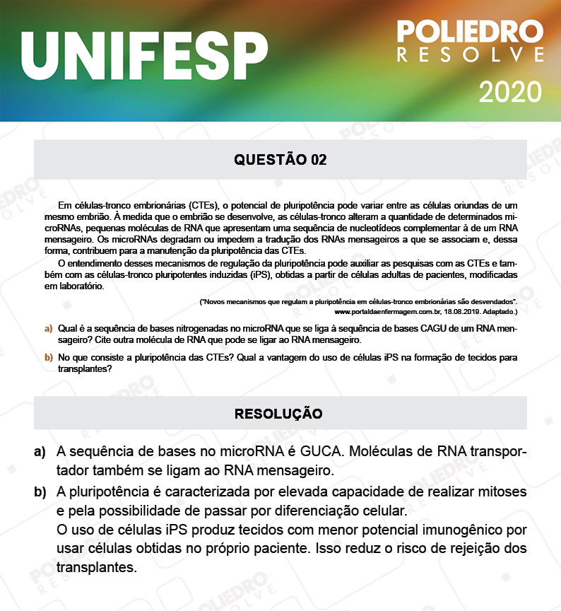 Dissertação 2 - Fase única - 2º Dia - UNIFESP 2020