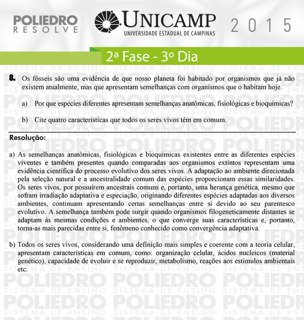 Dissertação 8 - 2ª Fase 3º Dia - UNICAMP 2015