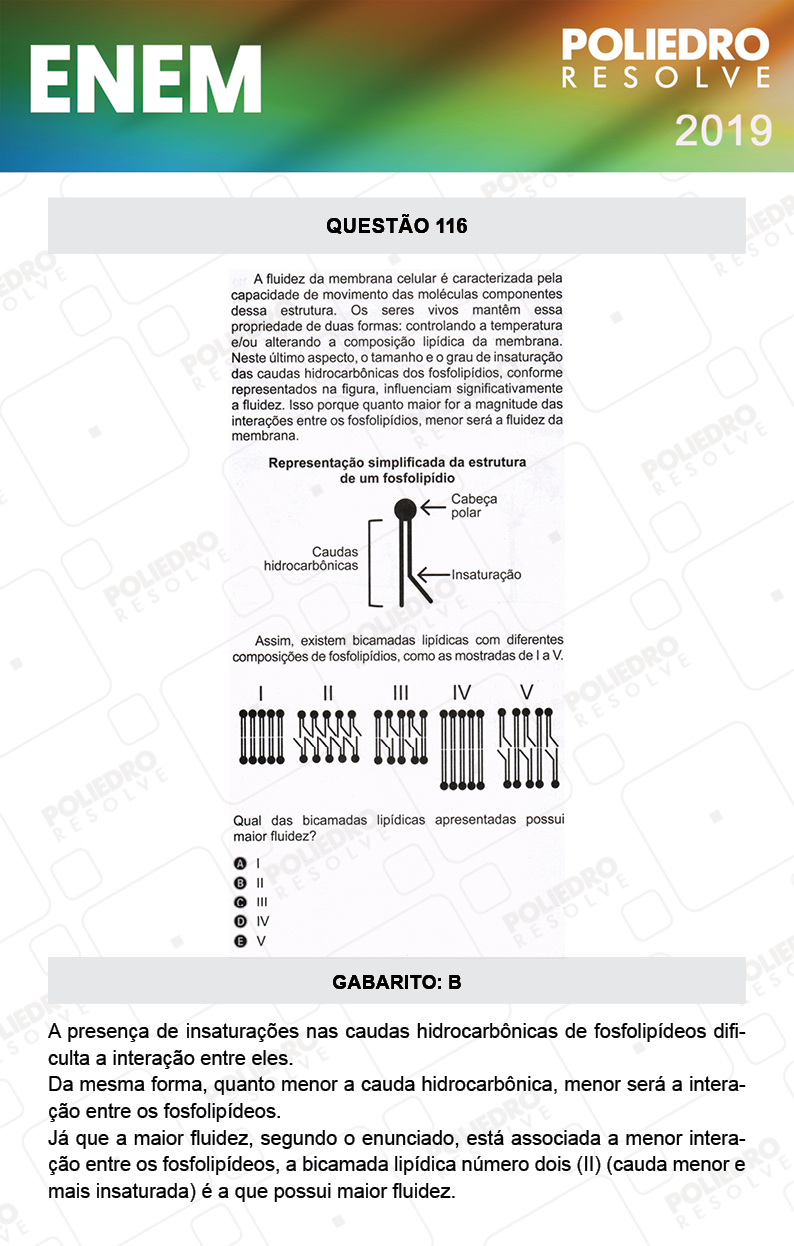 Questão 116 - 2º DIA - PROVA AZUL - ENEM 2019