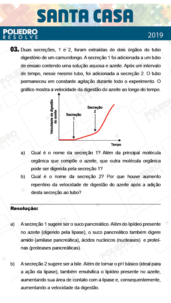 Dissertação 3 - 1º Dia - Dissertativas - SANTA CASA 2019