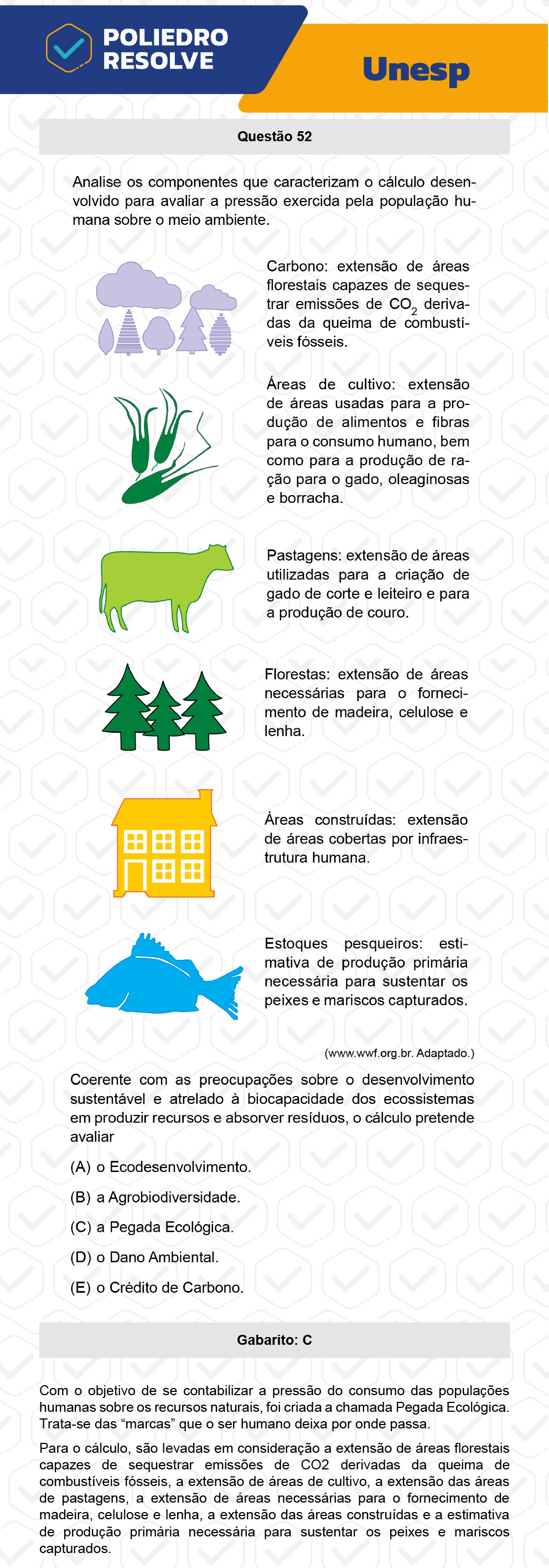 Questão 52 - 1ª Fase - UNESP 2023