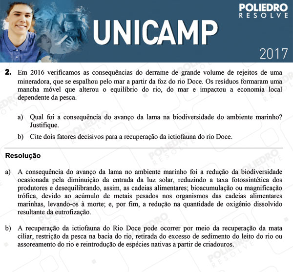 Dissertação 2 - 2ª Fase 3º DIA - UNICAMP 2017