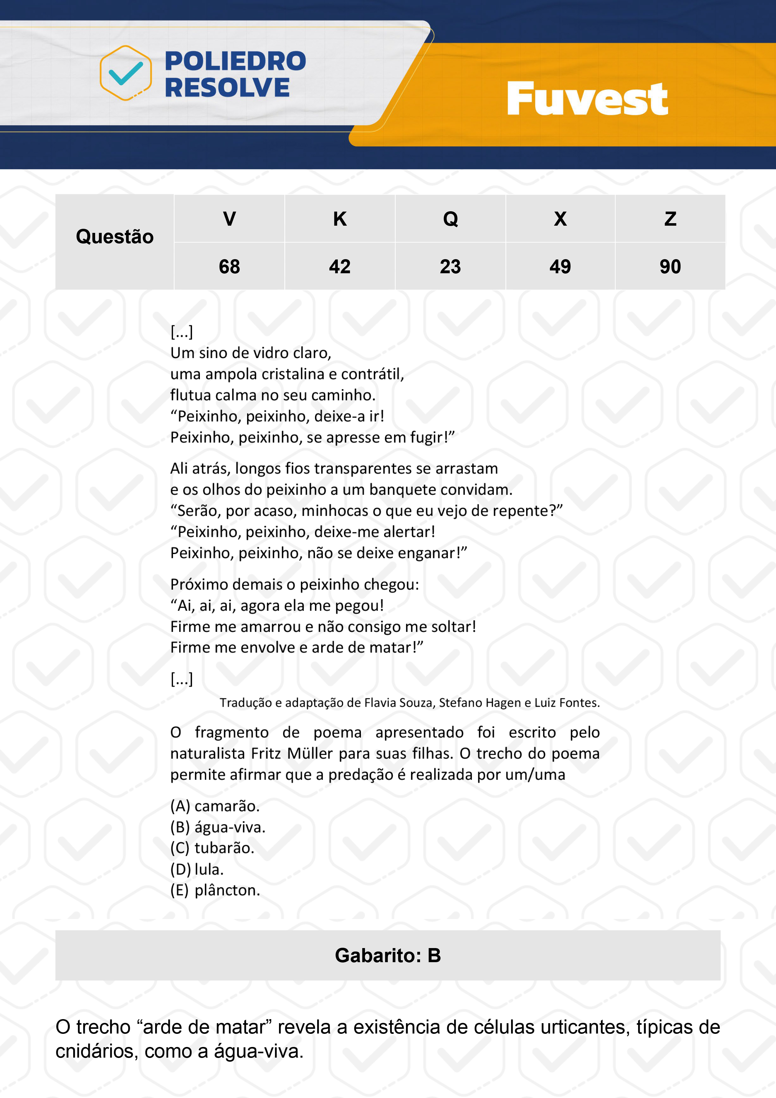 Questão 90 - 1ª Fase  - Prova Z - FUVEST 2024