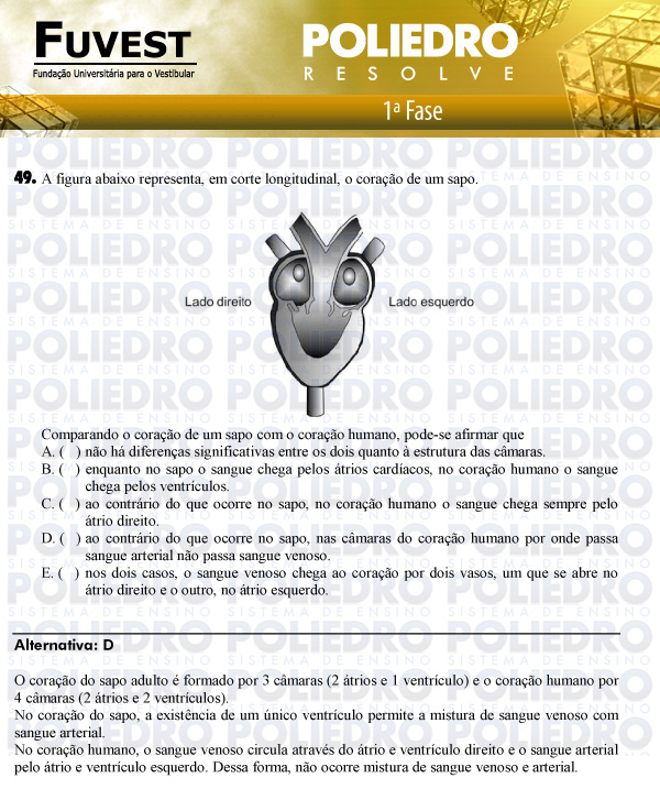Questão 49 - 1ª Fase - FUVEST 2011