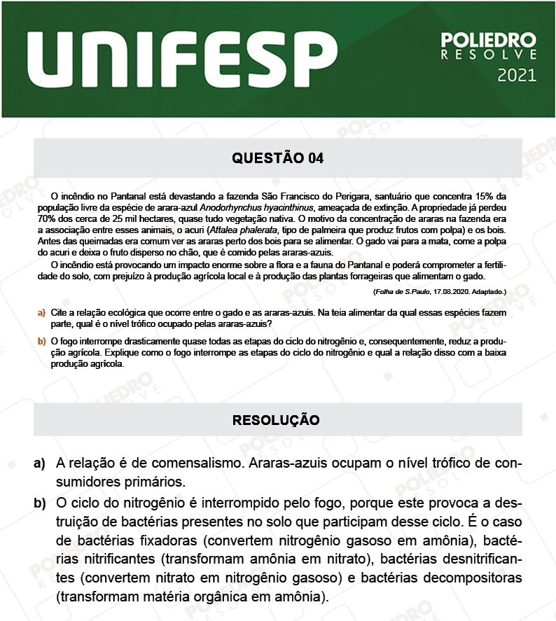 Dissertação 4 - Fase única - 2º Dia - UNIFESP 2021