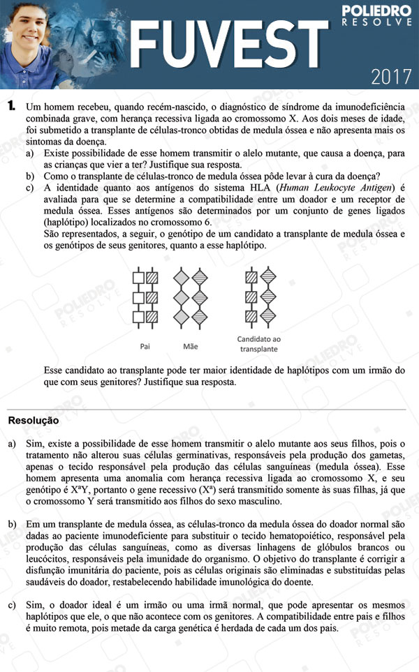 Dissertação 1 - 2ª Fase - 3º Dia - FUVEST 2017