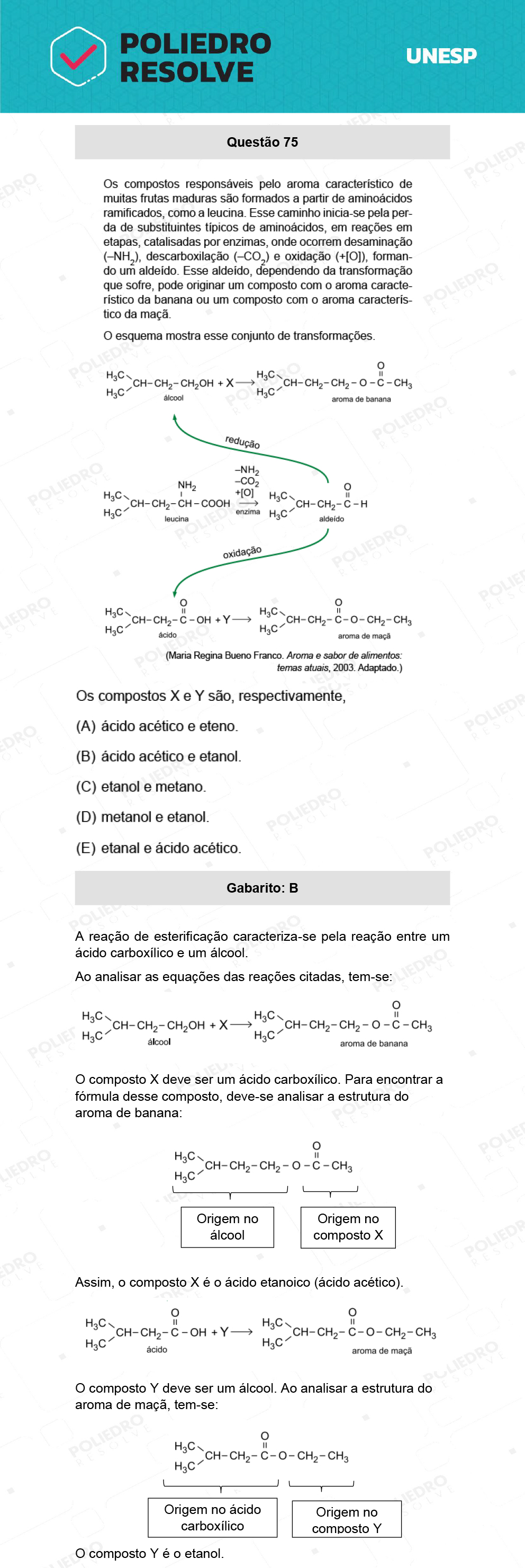 Questão 75 - 1ª Fase - Ext / Hum - UNESP 2022