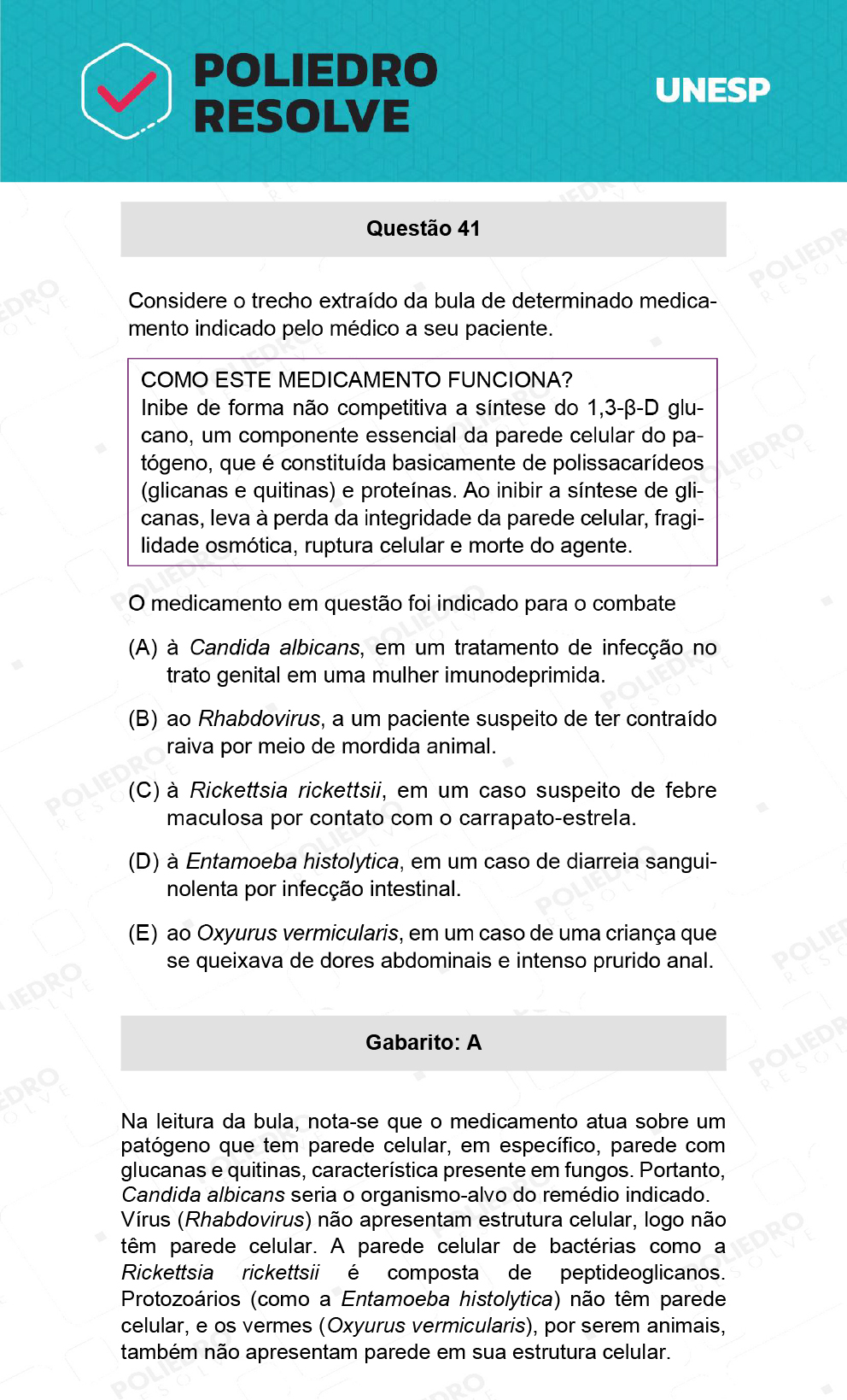 Questão 41 - 2ª Fase - UNESP 2022