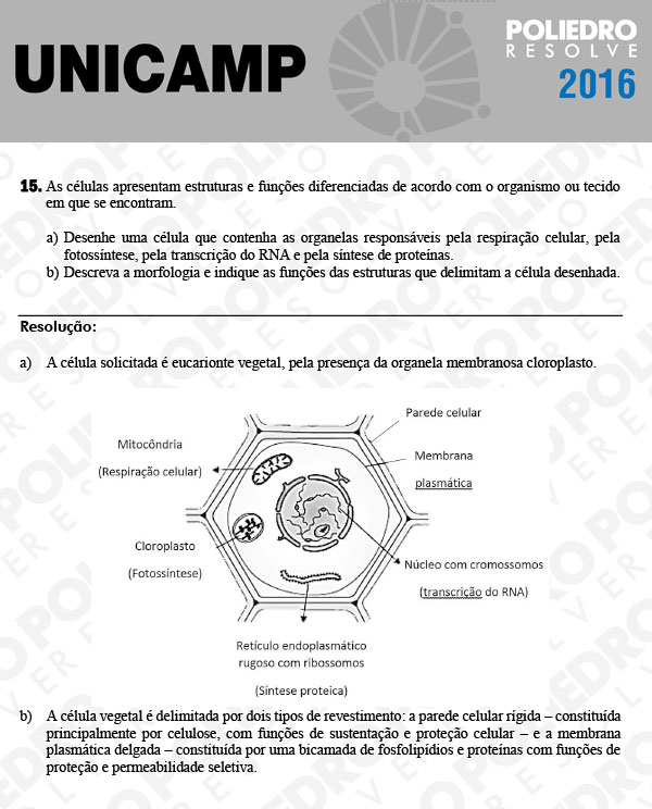 Dissertação 15 - 2ª Fase 3º Dia - UNICAMP 2016