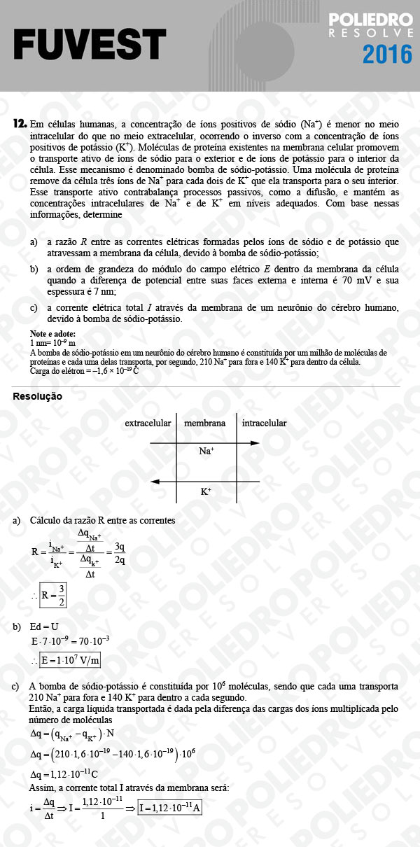 Dissertação 12 - 2ª Fase - 2º Dia - FUVEST 2016