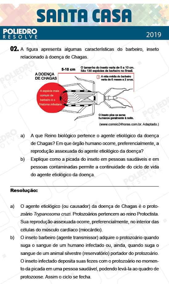 Dissertação 2 - 1º Dia - Dissertativas - SANTA CASA 2019