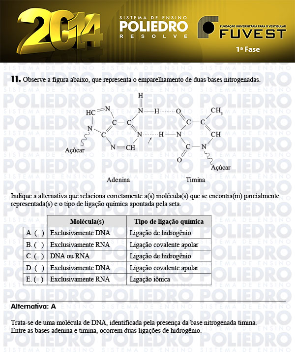 Questão 11 - 1ª Fase - FUVEST 2014