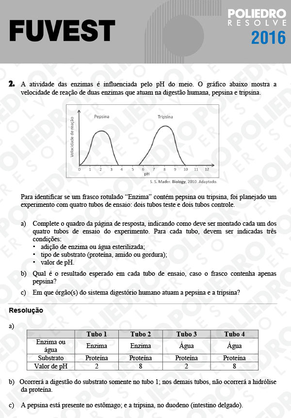 Dissertação 2 - 2ª Fase - 3º Dia - FUVEST 2016